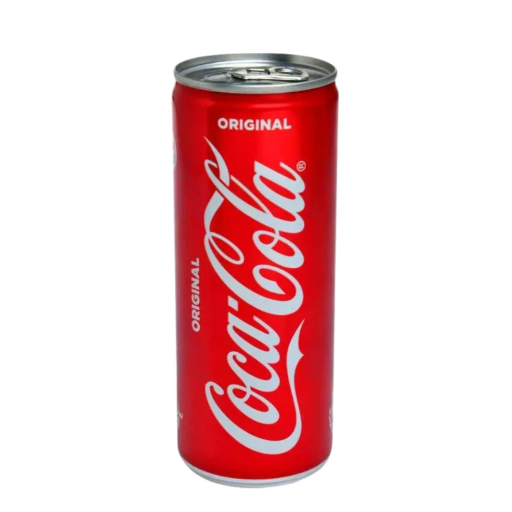 Coca-Cola Classic Canette 33cl